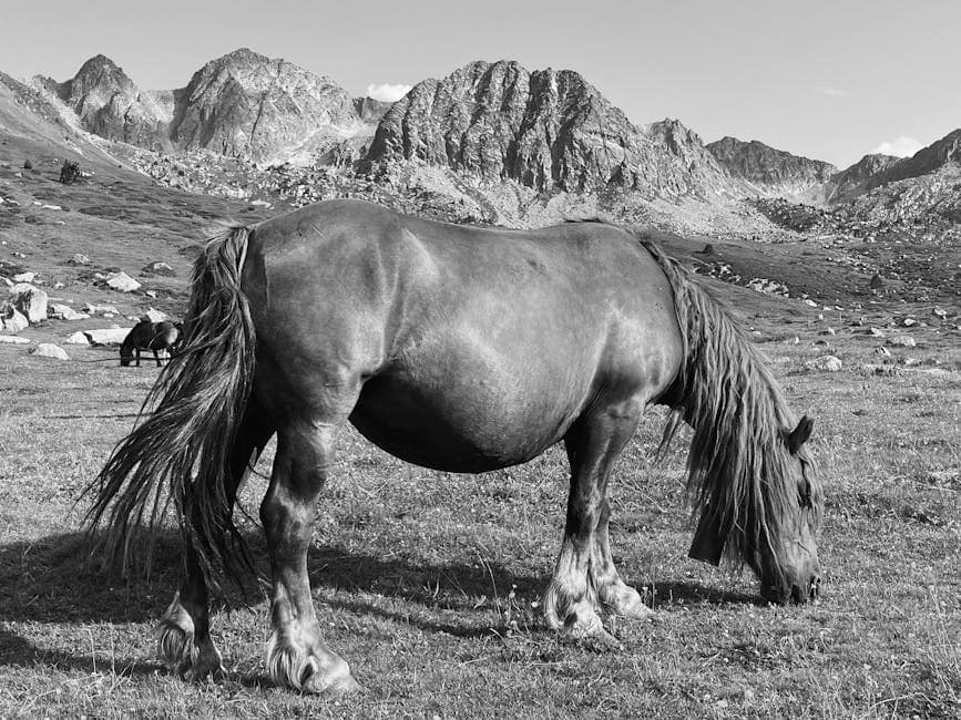 Serene scene of a horse grazing in the mountainous landscape of Andorra.