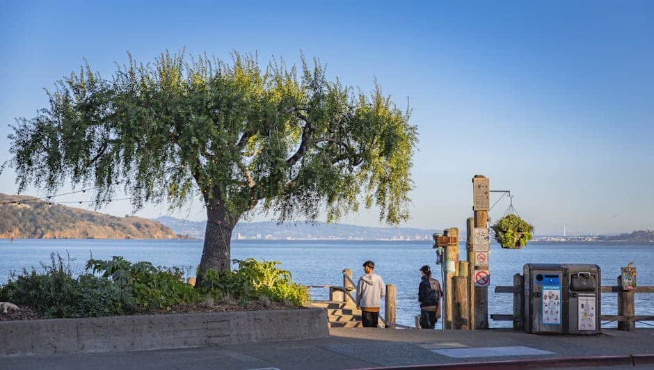 A peaceful coastal scene with a tree and walkway beside a calm bay under a clear blue sky.