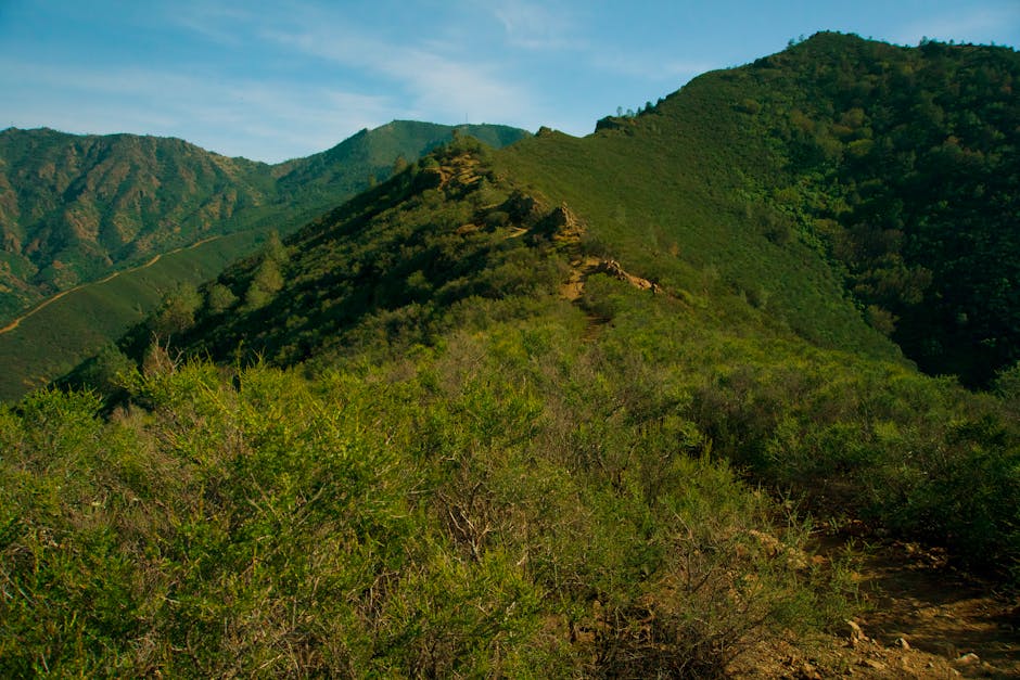 Explore the lush green mountains and valleys of Contra Costa Centre under a clear blue sky.