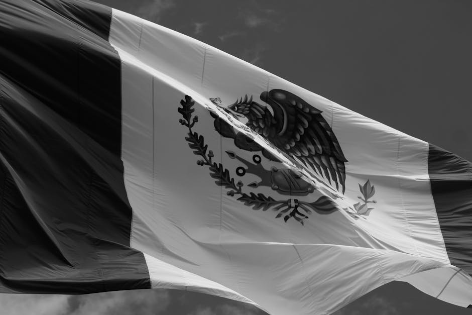 Dramatic black and white photo of the Mexican flag waving on a windy day.