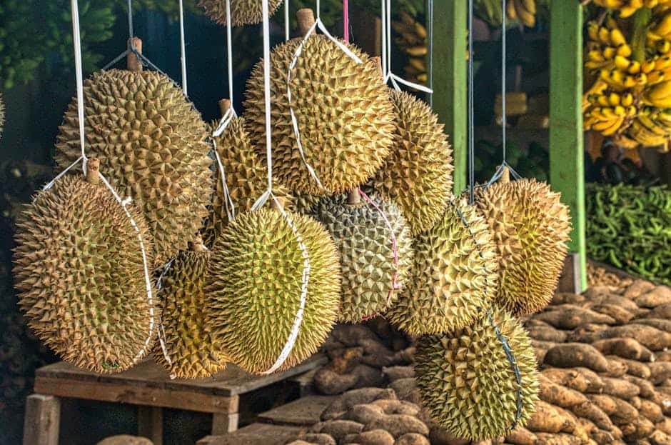 Hanging durians at a market in West Java, Indonesia offer a pungent tropical aroma.